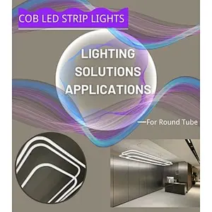 La tira de luces COB es popular, pero ¿sabe cómo usar las tiras de luces LED COB?