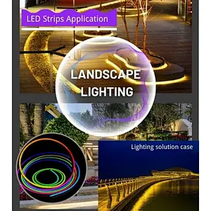 How LED strips are used in landscape lighting？