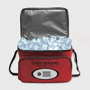 cooler bag, music cooler bag, light cooler bag, party cooler bag, outdoor cooler bag, camping cooler bag, picnic cooler bag, power bank cooler bag