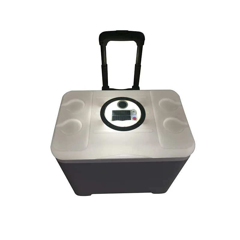 Ztarx V-Coool and cooler box and hard cooler