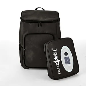 Ztarx detachable music cooler bag