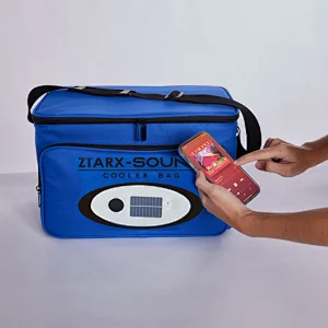 Music cooler bag