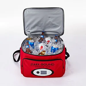 cooler bag, music cooler bag, light cooler bag, party cooler bag, outdoor cooler bag, camping cooler bag, picnic cooler bag, power bank cooler bag