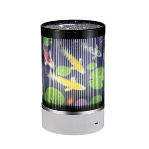 Animated Night Light Rechargeable Rotating Starry LED Desk Lamp with Remote Control Portable Hanging String Multi-Color