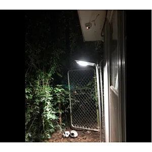 10W solar garden light good feedback