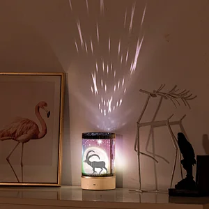 Animated Night Light Rechargeable Rotating Starry LED Desk Lamp with Remote Control Portable Hanging String Multi-Color