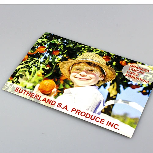 Wholesale Cheap Book/ Flyers / Leaflet / Catalogue / Brochure printing service