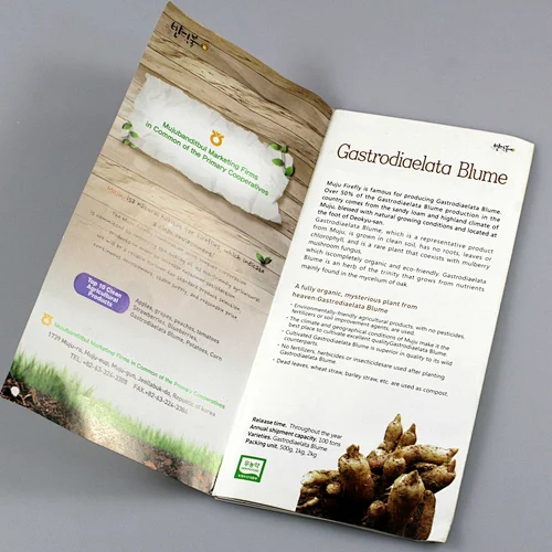 Custom cheap brochure printing, leaflet printing ,air flyer printing service