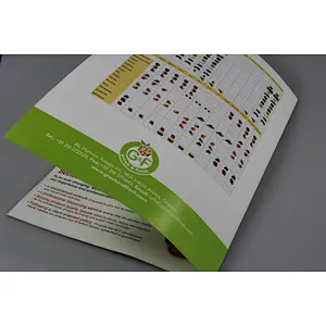 Custom Printed Paper Leaflet Folder Flyer Printing