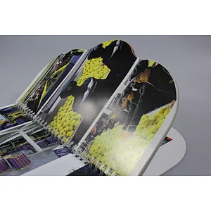 Custom Wholesale Full Color Glossy Paper Design Printing Service, Flyer , Booklet, Brochure, Calander Printing