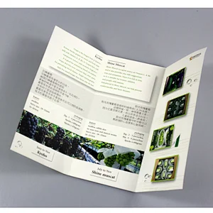 Custom High Quality Booklet Folded Fancy Brochure Printing Leaflet