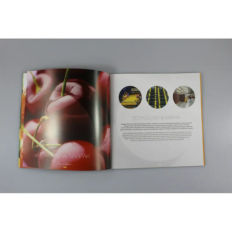 High quality cheap price magazine custom book catalog booklet brochure printing