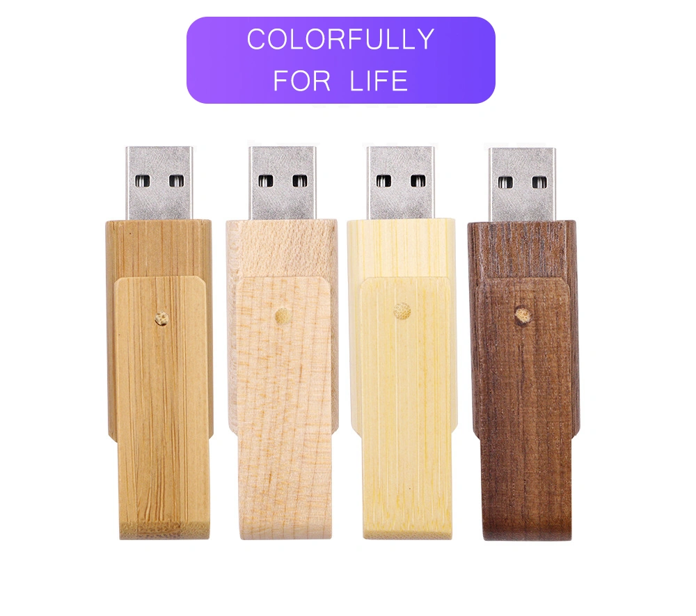 Custom Usb Drives China supplier
