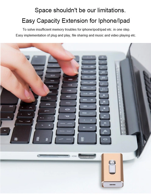 Best Encrypted Flash Drive factory