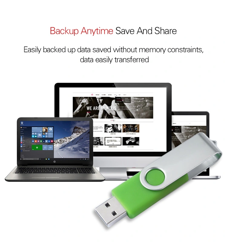 School Flash Drive company