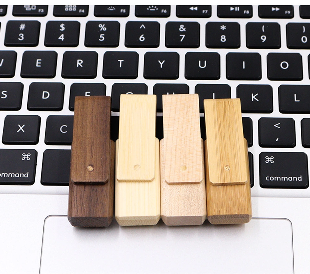Custom Usb Drives China factory