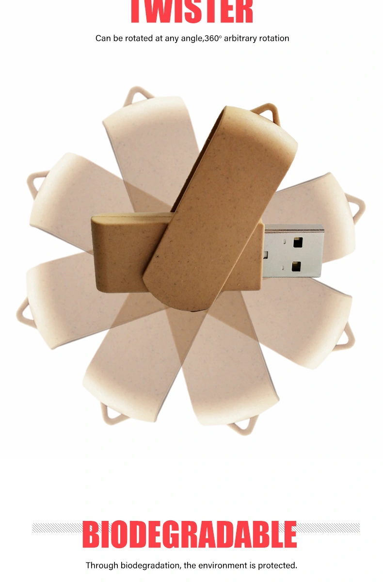 Swing Usb Drive manufacturer