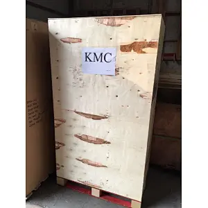 DBA-200L Low Table Automatic Strapping Machine