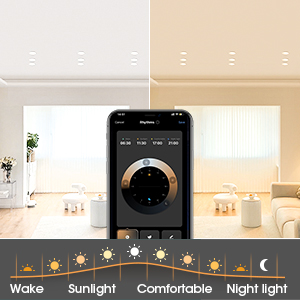 Ceiling Led Lights