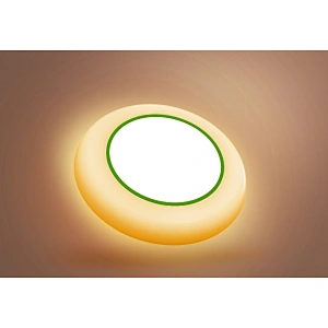15W LED Disk Light 5CCT Nachtlicht LED Downlight