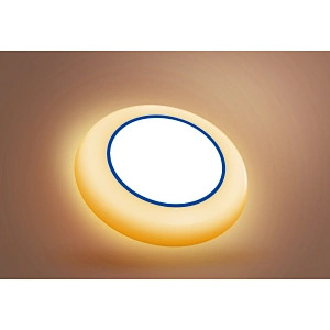 15W LED Disk Light 5CCT Nachtlicht LED Downlight