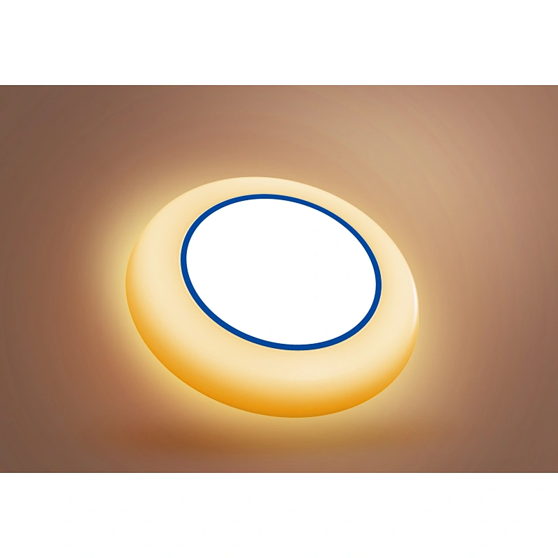15W LED Disk Light 5CCT Nachtlicht LED Downlight