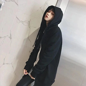 Wholesale fashion fall and winter style hoodie women sport zip up hoodie