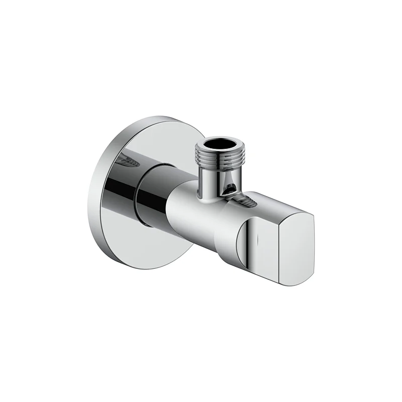 Concealed check valve