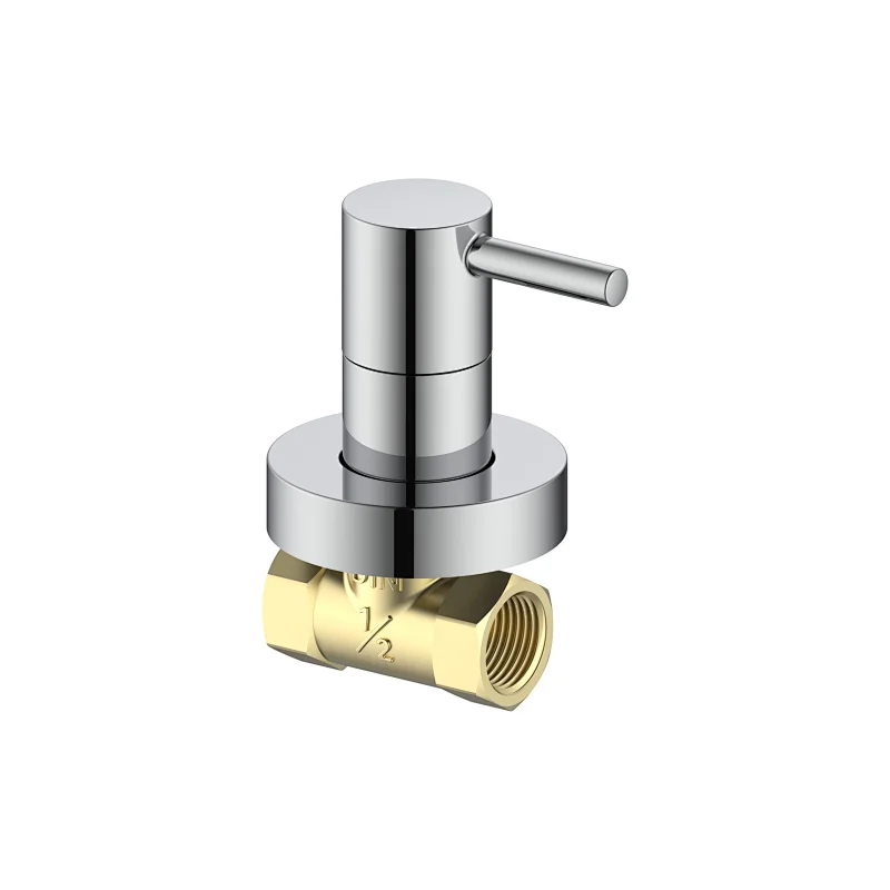 Concealed check valve