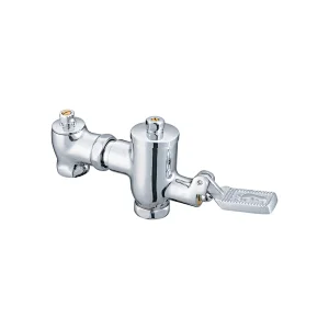 Push button flush valve