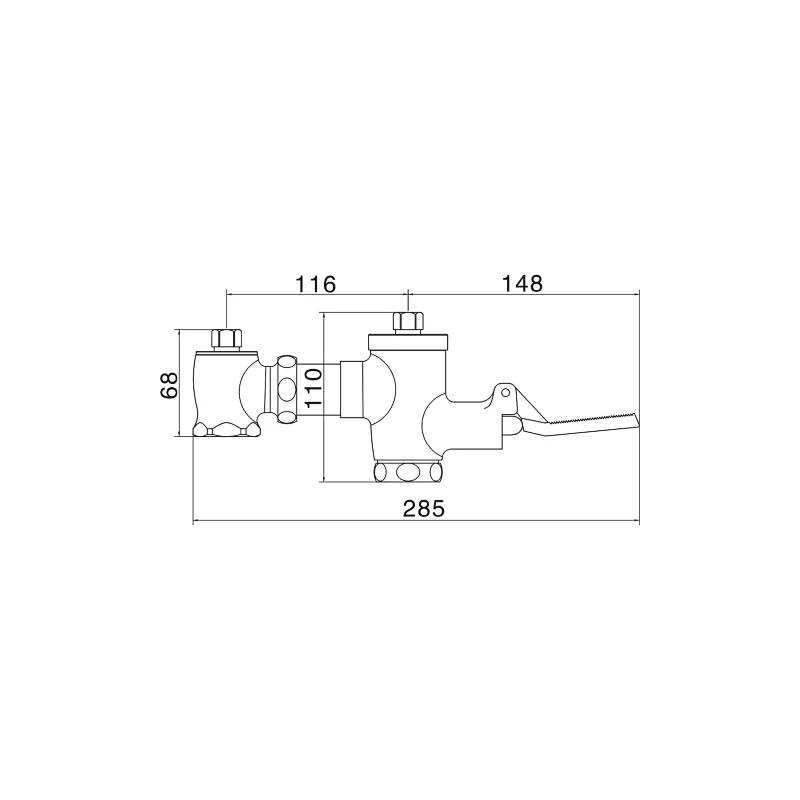 Push button flush valve