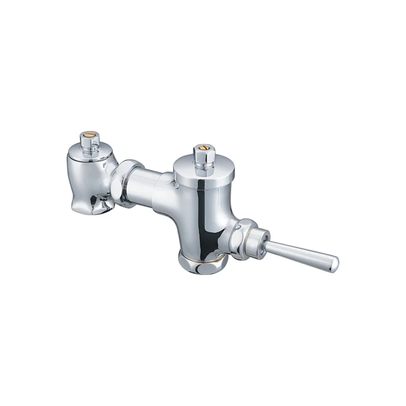 Push button flush valve