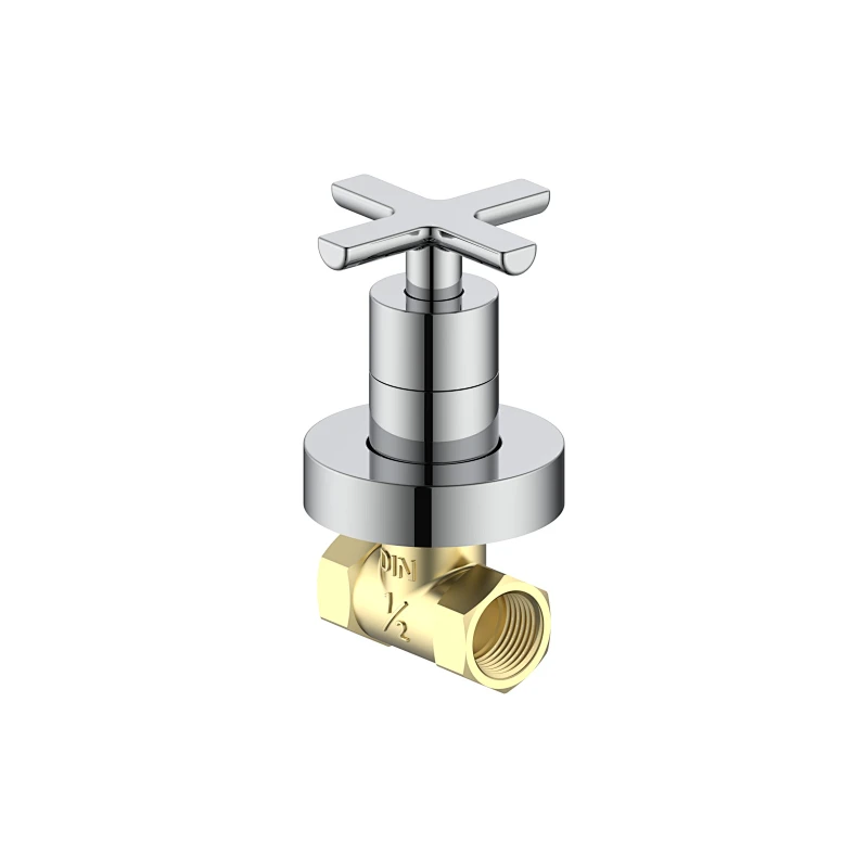 Concealed check valve