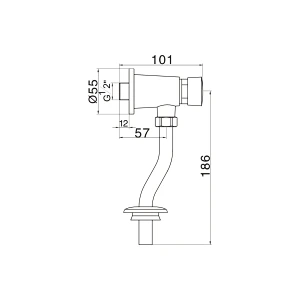 Push button flush valve