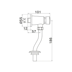 Push button flush valve
