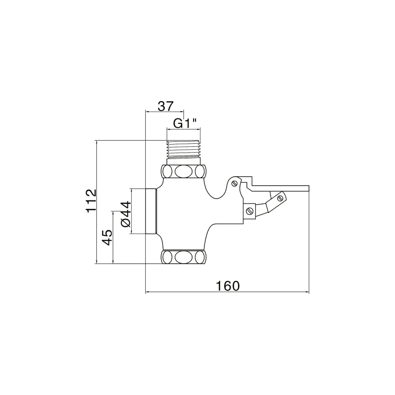 Push button flush valve
