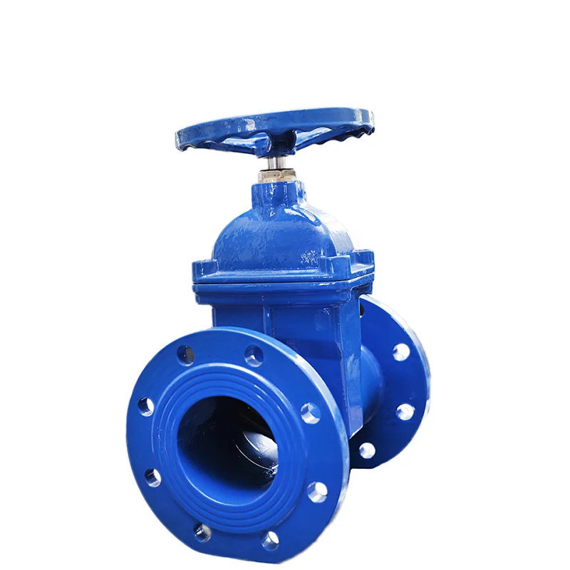 Gate Valve