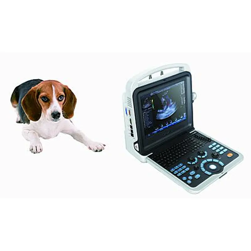 Ecografo veterinarios best price eco vet multiparametro veterinarios medical sonoscape dopler portable veterinary ultrasound