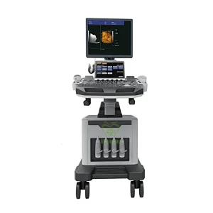 NEW Diagnostic Ultrasound System MY-A028D-N Medical Trolley 4D & CW Functions Color Doppler with Various Transducers
