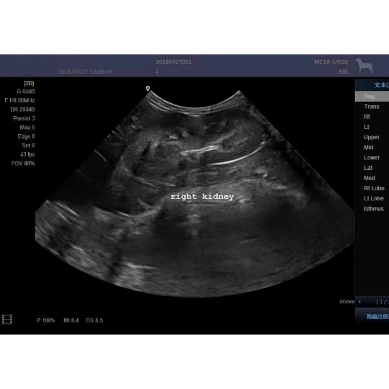 Ecografo veterinarios best price eco vet multiparametro veterinarios medical sonoscape dopler portable veterinary ultrasound