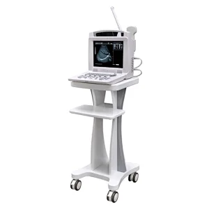MY-A005 12 inch screen cheapest portable ultrasound scanner,digital ultrasound machine price