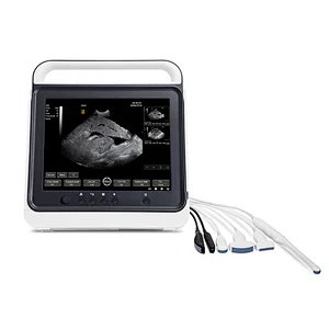 Veterinary touch screen portable ultrasound scanner,black & white ultrasound machine price