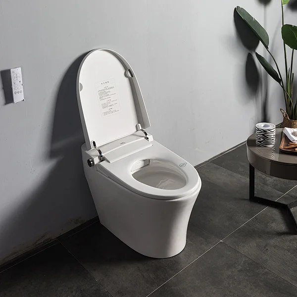 smart toilet flush by Tona