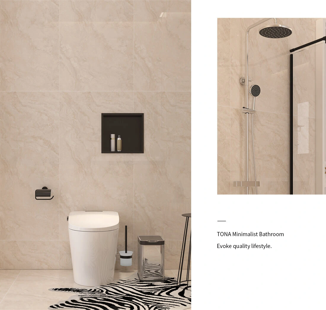 smart toilet and chrome shower
