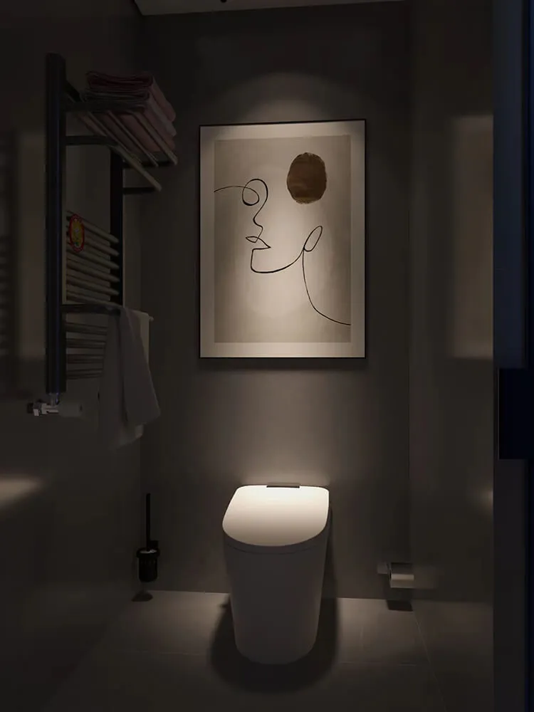 smart toilet under the spotlight