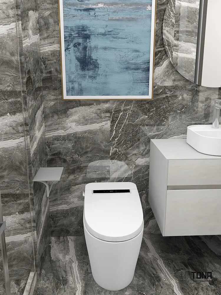 smart toilet and gray bathroom vanity