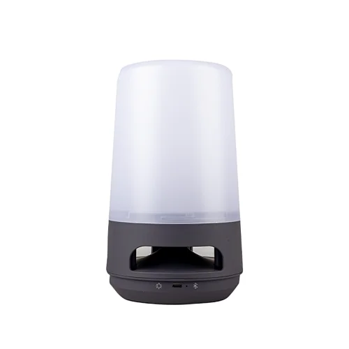 wireless speaker