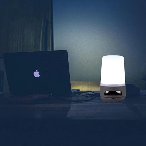 wireless speaker