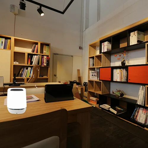 wireless speaker