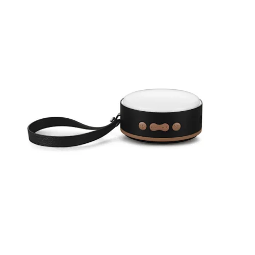 portable speaker with colored light